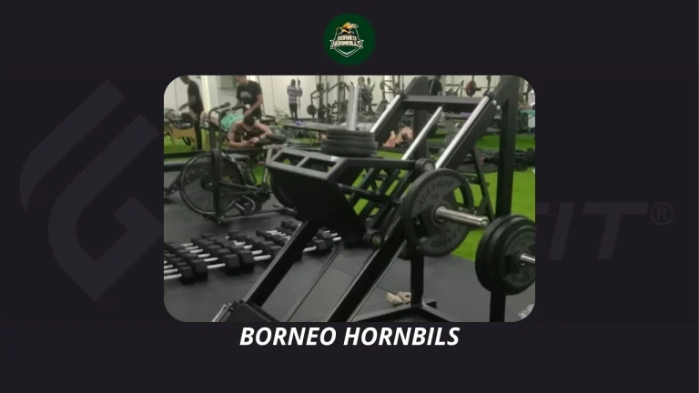 BORNEO HORNBILS