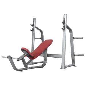 Olympic Bench Incline