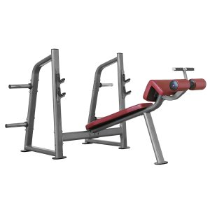 Olympic Decline Bench
